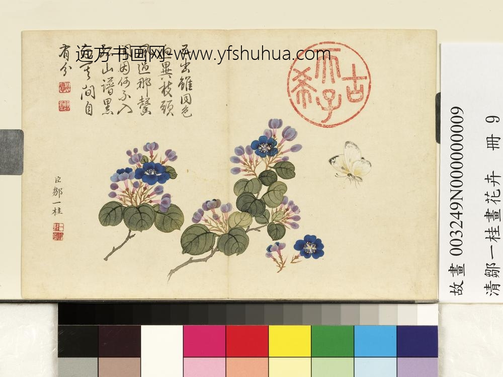 清邹一桂画花卉册翠梅