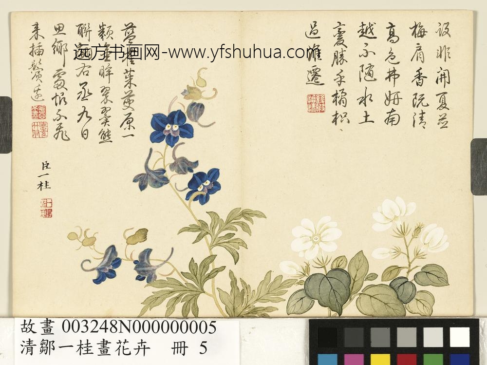 清邹一桂画花卉册翠雀