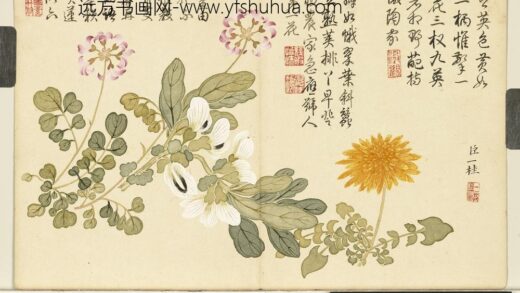 清邹一桂画花卉册蒲公英荷花郎.jpg