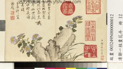 清邹一桂画花卉册蓝菊.jpg