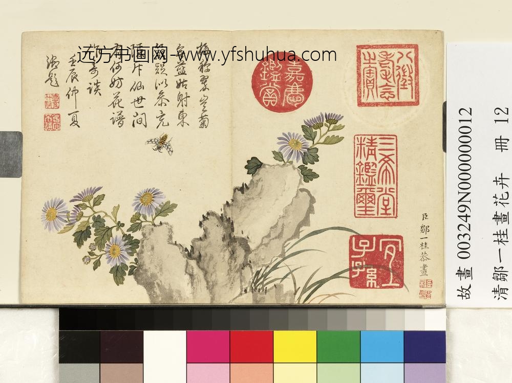 清邹一桂画花卉册蓝菊