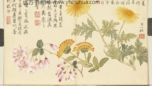 清邹一桂画花卉册蓬蒿金盏.jpg