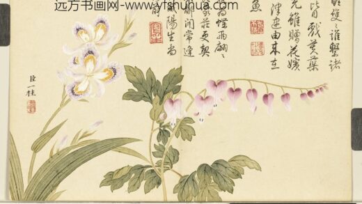 清邹一桂画花卉册蝴蝶花鱼儿牡丹.jpg