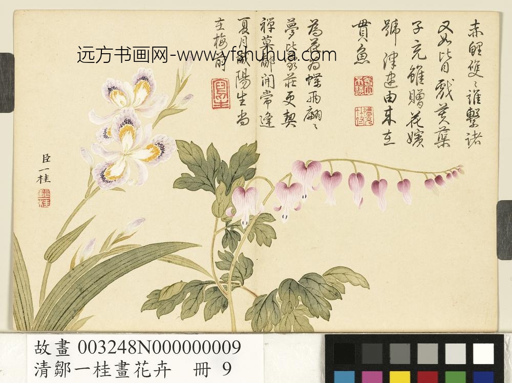 清邹一桂画花卉册蝴蝶花鱼儿牡丹