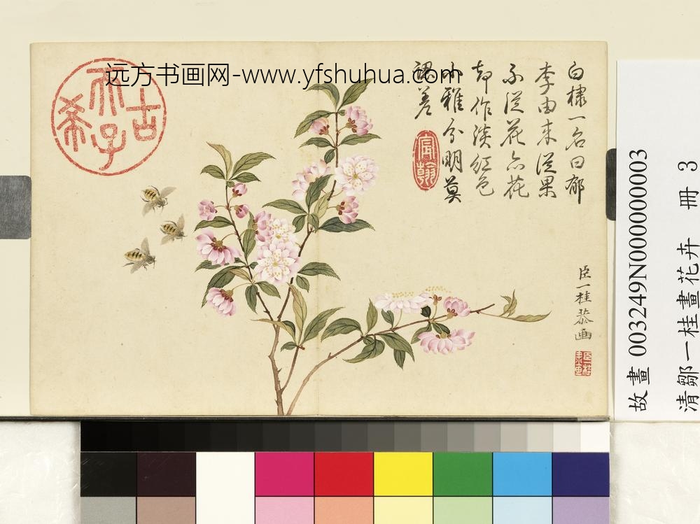 清邹一桂画花卉册郁李