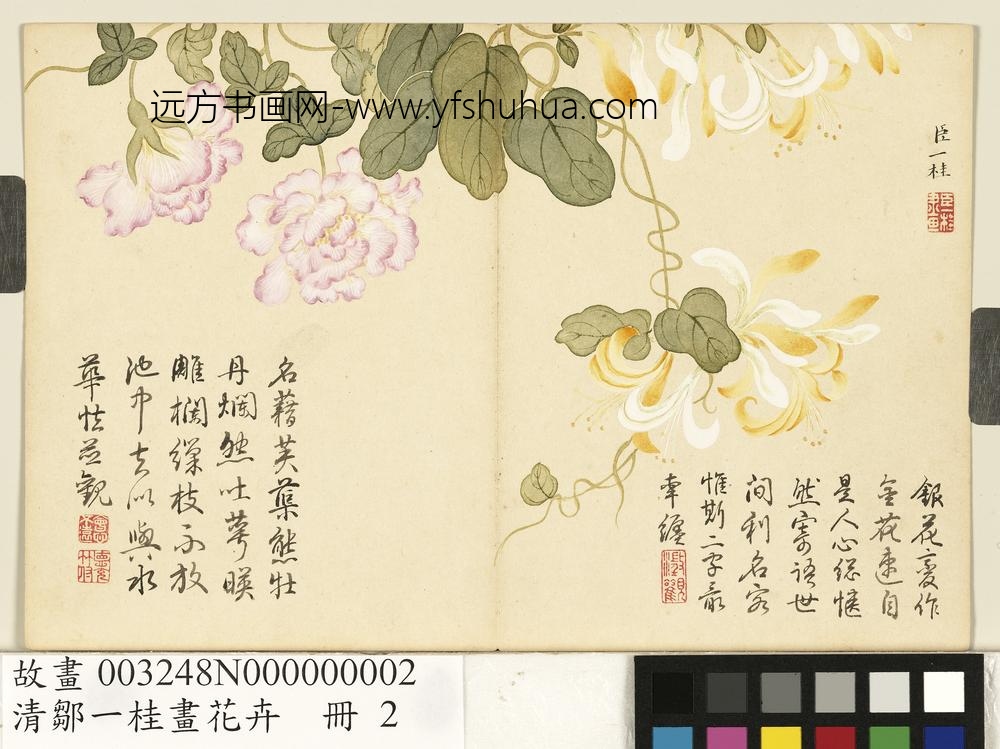 清邹一桂画花卉册金银藤缠枝莲