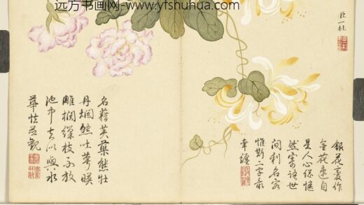 清邹一桂画花卉册金银藤缠枝莲.jpg