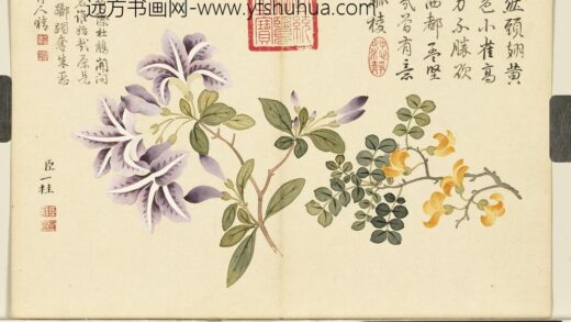 清邹一桂画花卉册金雀杜鹃.jpg