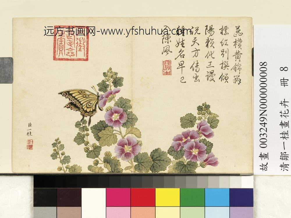 清邹一桂画花卉册锦葵