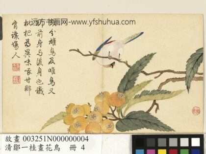 清邹一桂画花鸟册枇杷翡翠.jpg