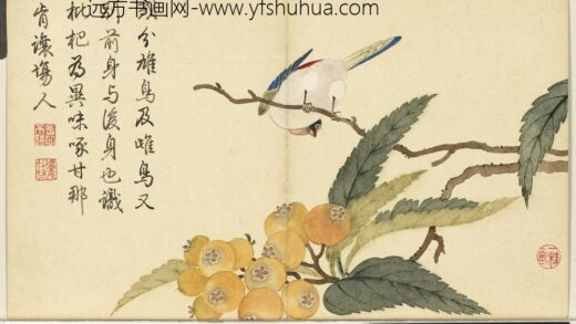 清邹一桂画花鸟册枇杷翡翠.jpg