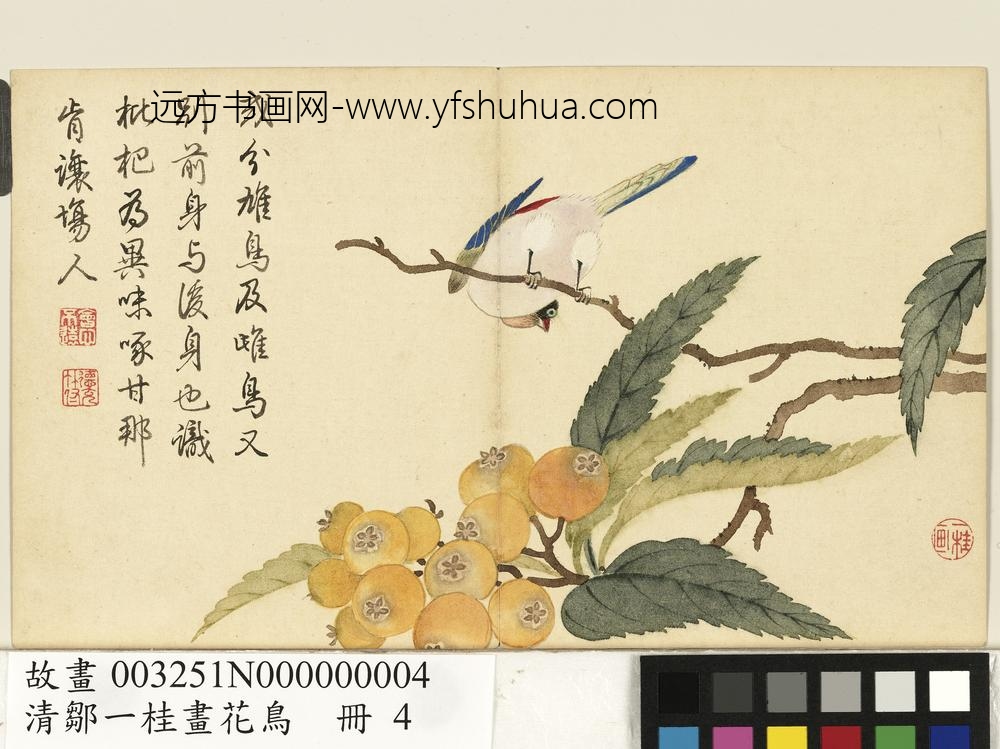 清邹一桂画花鸟册枇杷翡翠