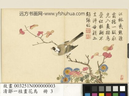 清邹一桂画花鸟册枫树白头翁.jpg