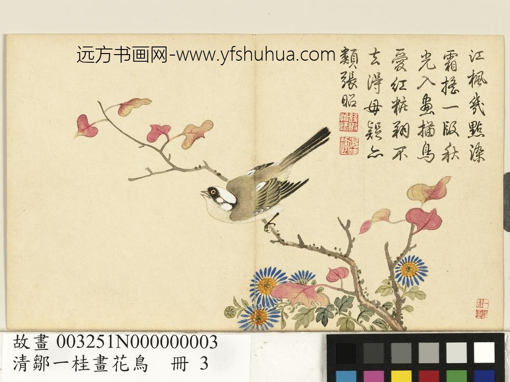 清邹一桂画花鸟册枫树白头翁