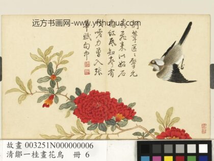 清邹一桂画花鸟册石榴翎毛.jpg