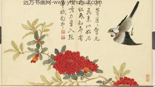 清邹一桂画花鸟册石榴翎毛.jpg