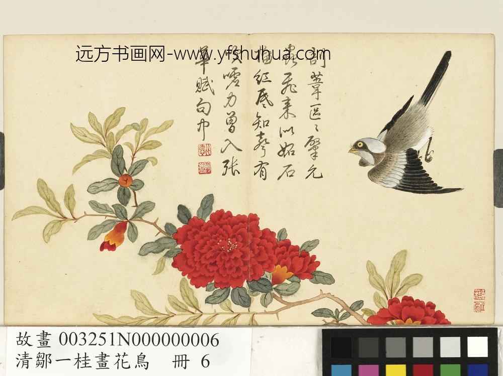 清邹一桂画花鸟册石榴翎毛