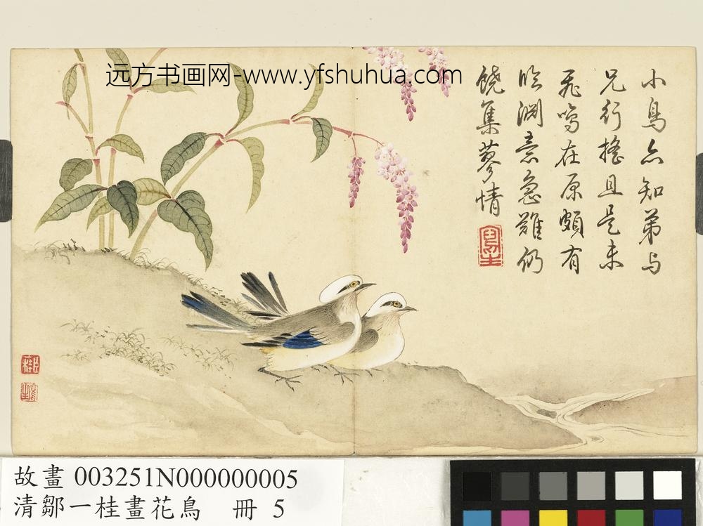 清邹一桂画花鸟册红蓼鹡鸰