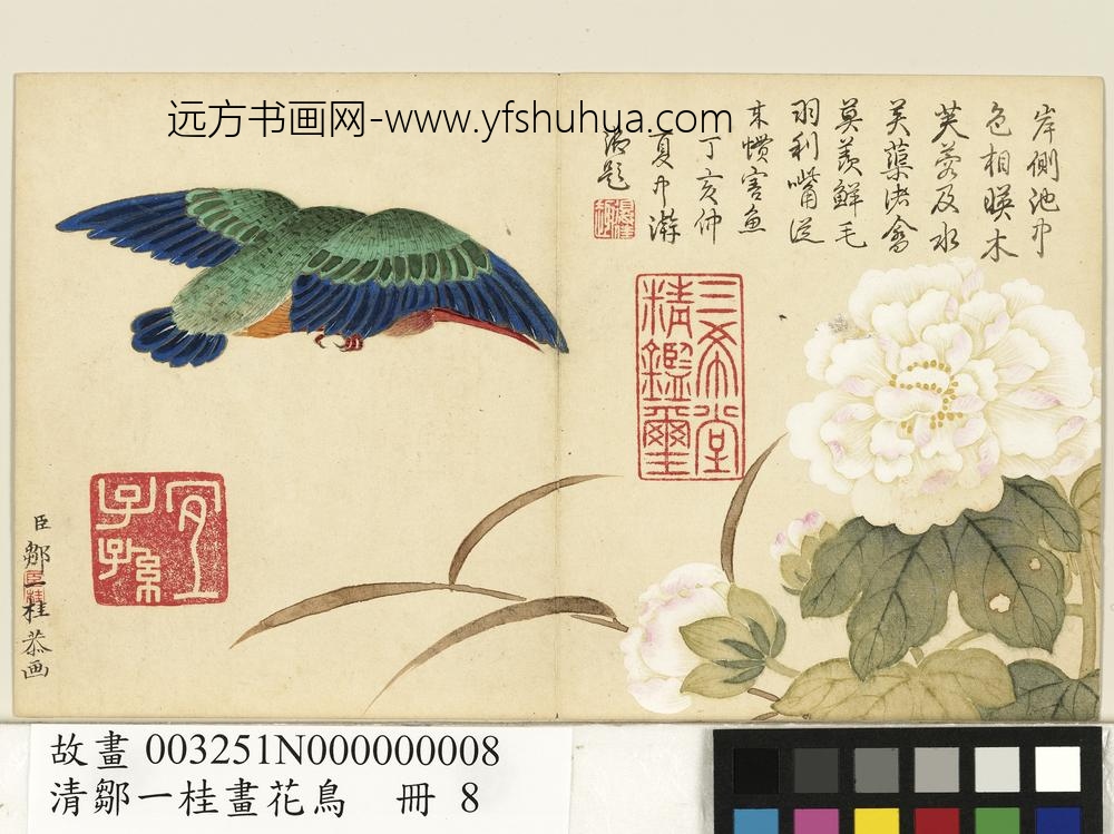 清邹一桂画花鸟册芙蓉翠鸟
