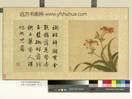 清邹一桂花卉画册册宜男花.jpg