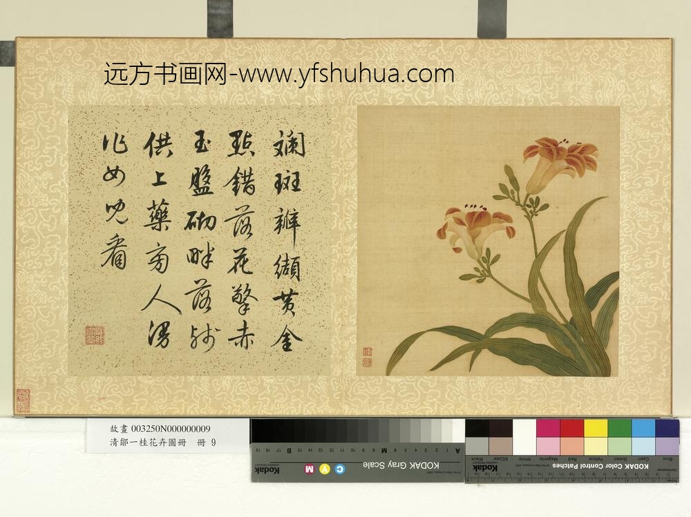 清邹一桂花卉画册册宜男花