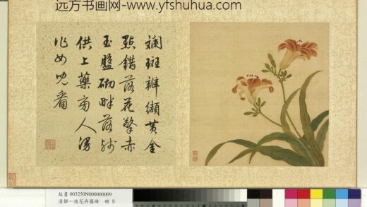清邹一桂花卉画册册宜男花.jpg
