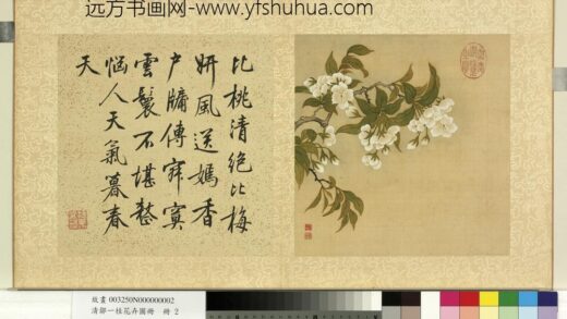 清邹一桂花卉画册册李花.jpg