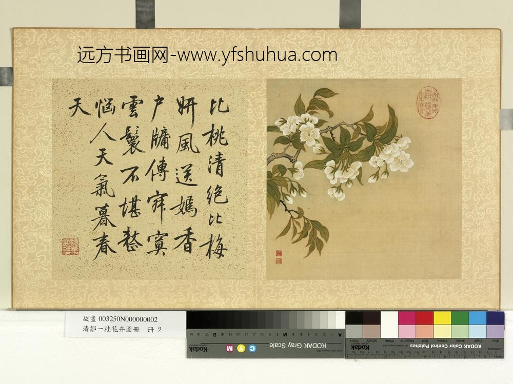 清邹一桂花卉画册册李花