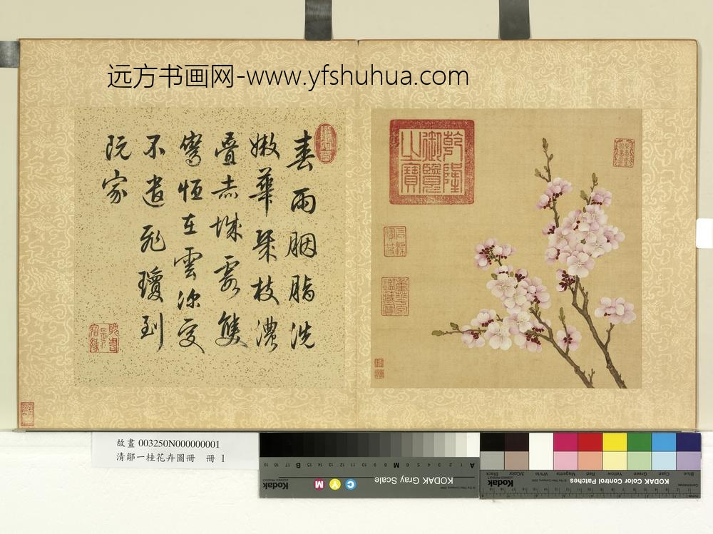 清邹一桂花卉画册册杏花