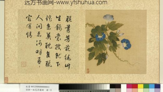 清邹一桂花卉画册册牵牛花.jpg