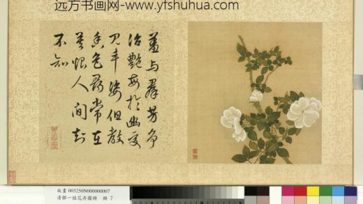 清邹一桂花卉画册册白蔷薇.jpg