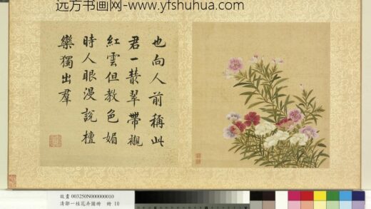 清邹一桂花卉画册册石竹.jpg
