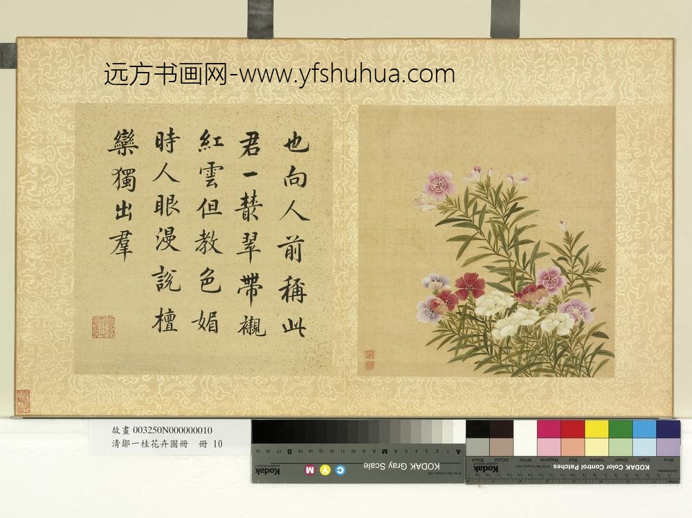清邹一桂花卉画册册石竹