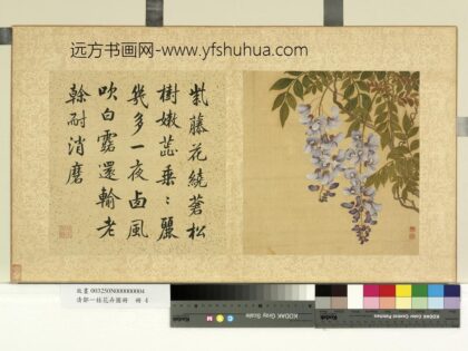 清邹一桂花卉画册册紫藤花.jpg