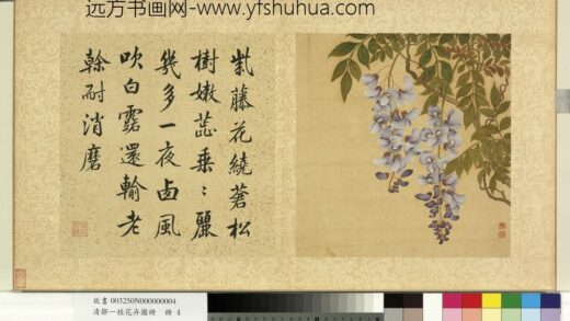 清邹一桂花卉画册册紫藤花.jpg