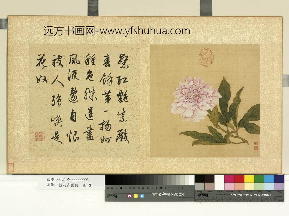 清邹一桂花卉画册册芍药