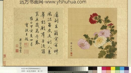 清邹一桂花卉画册册菊花.jpg