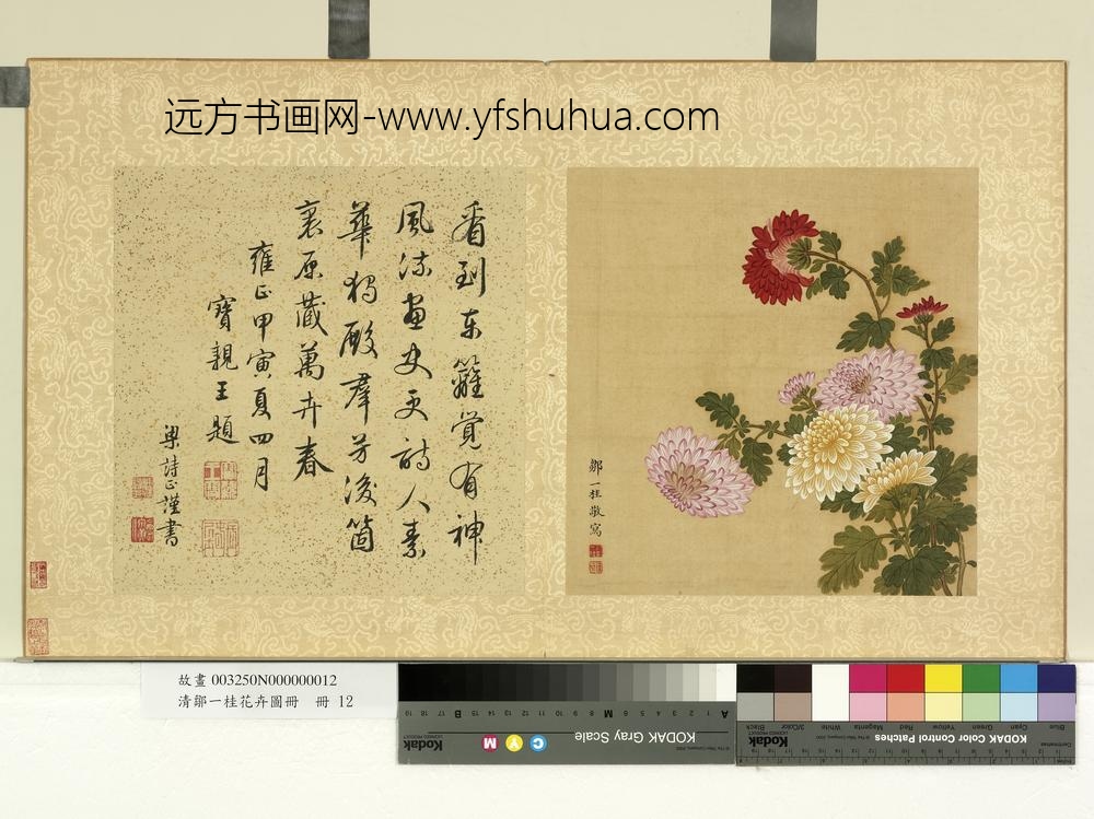 清邹一桂花卉画册册菊花