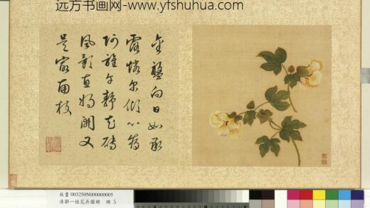 清邹一桂花卉画册册葵花.jpg