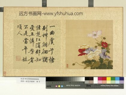 清邹一桂花卉画册册虞美人.jpg