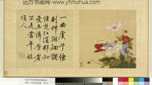 清邹一桂花卉画册册虞美人.jpg