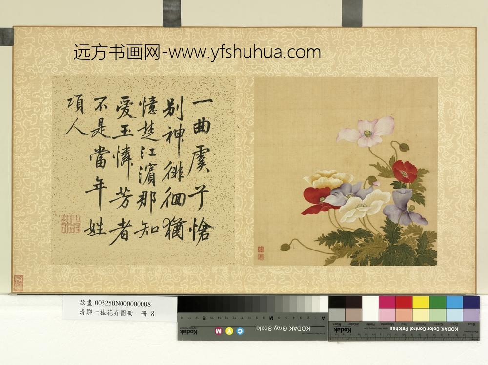 清邹一桂花卉画册册虞美人