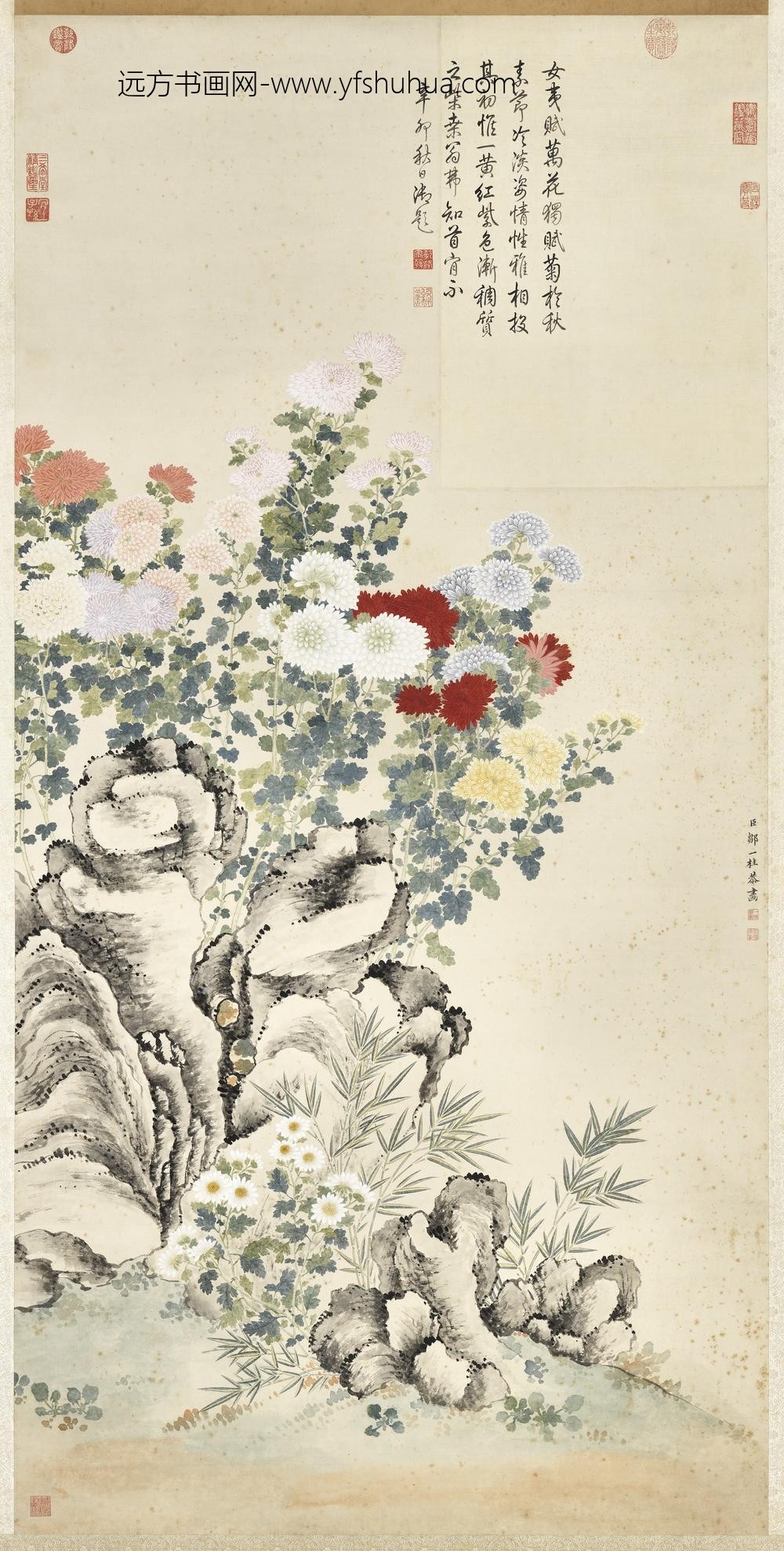 清邹一桂菊石轴