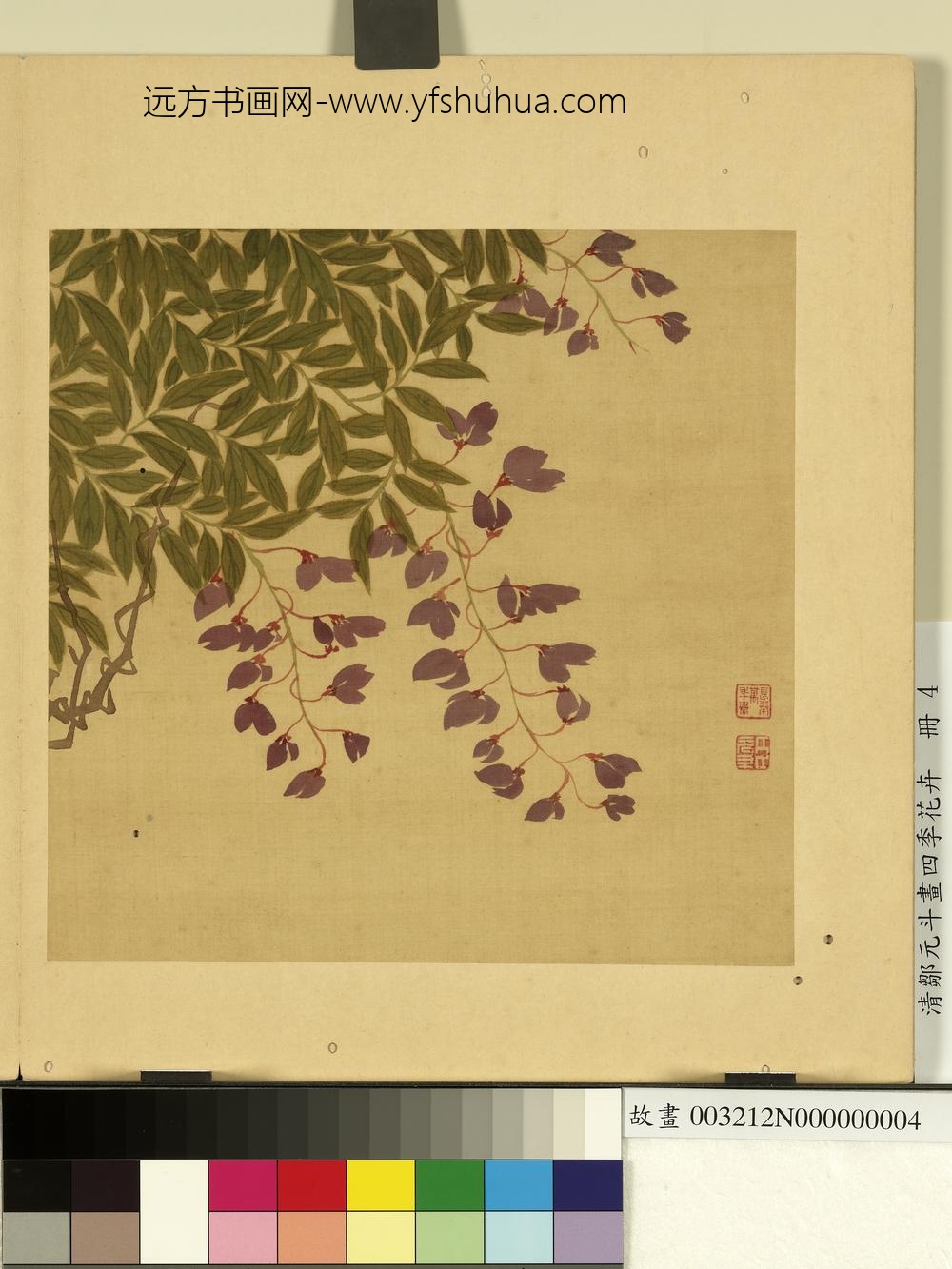 清邹元斗画四季花卉册紫藤
