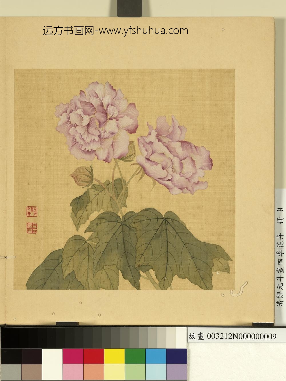 清邹元斗画四季花卉册芙蓉