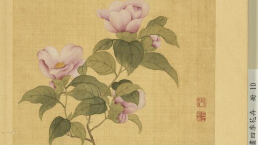 清邹元斗画四季花卉册茶花.jpg