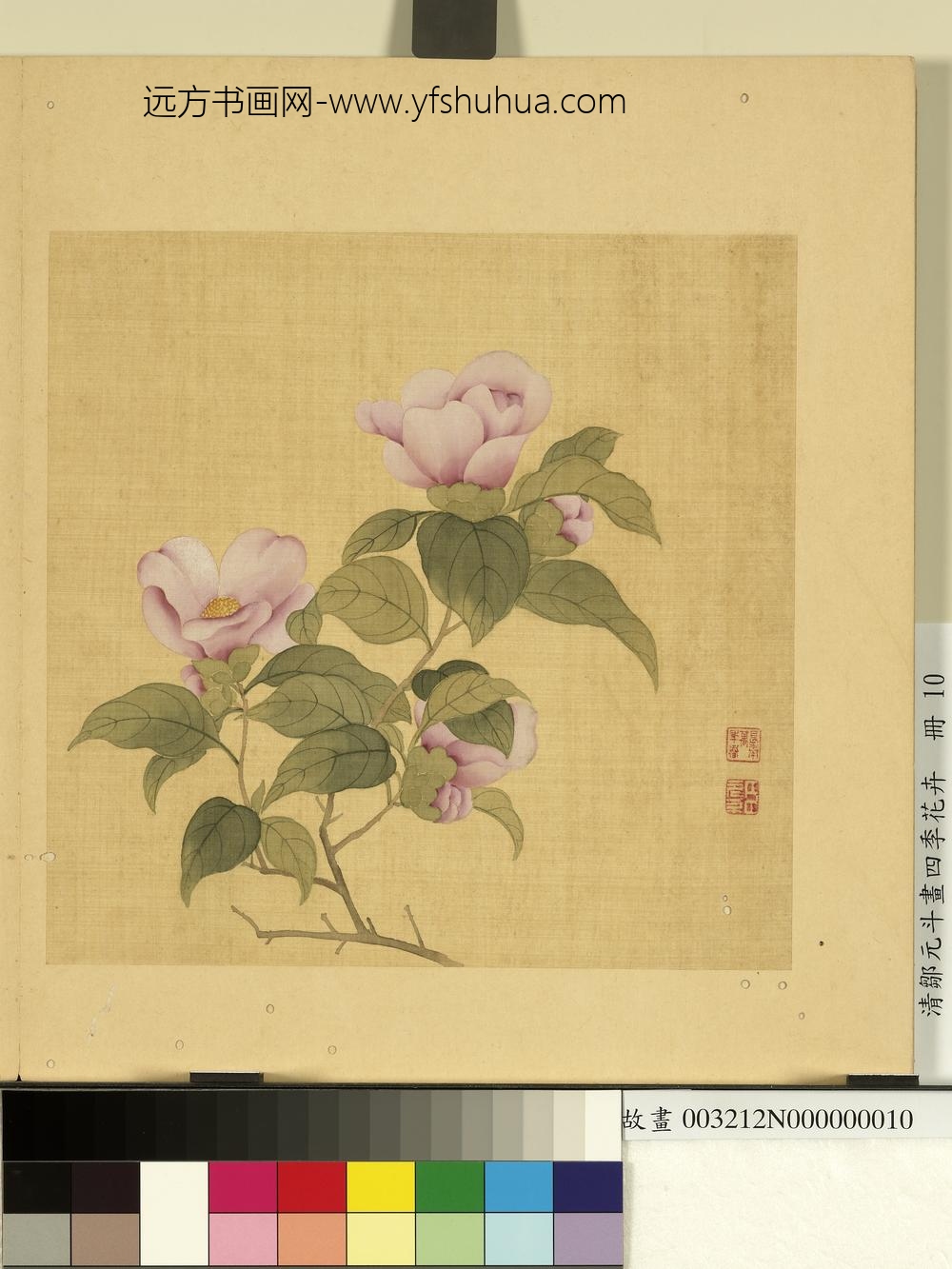 清邹元斗画四季花卉册茶花
