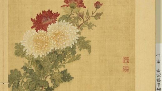 清邹元斗画四季花卉册菊.jpg