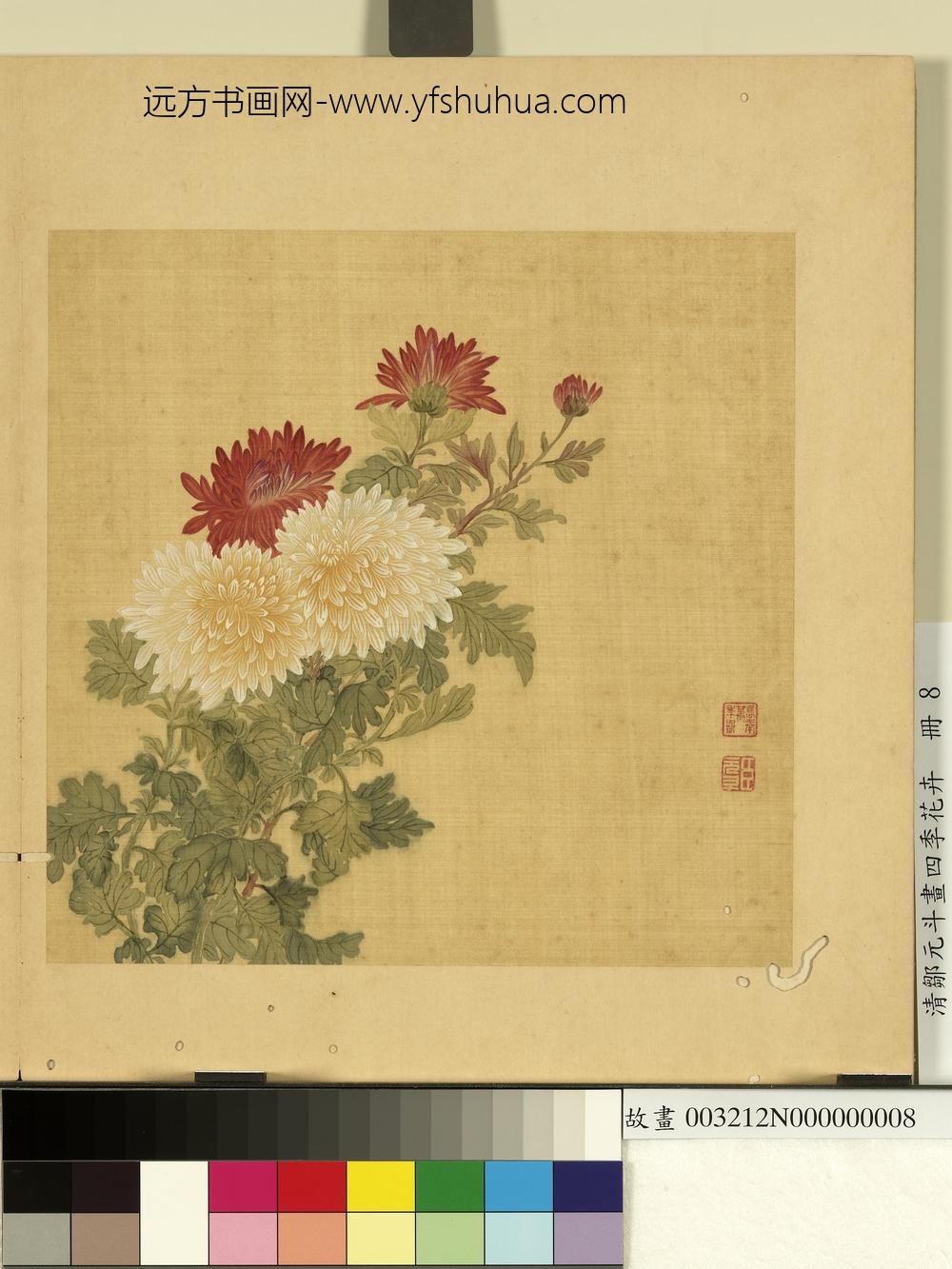 清邹元斗画四季花卉册菊