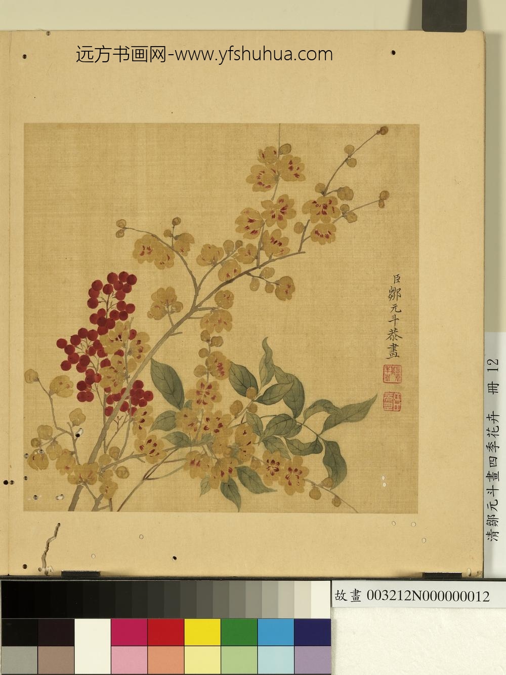 清邹元斗画四季花卉册蜡梅